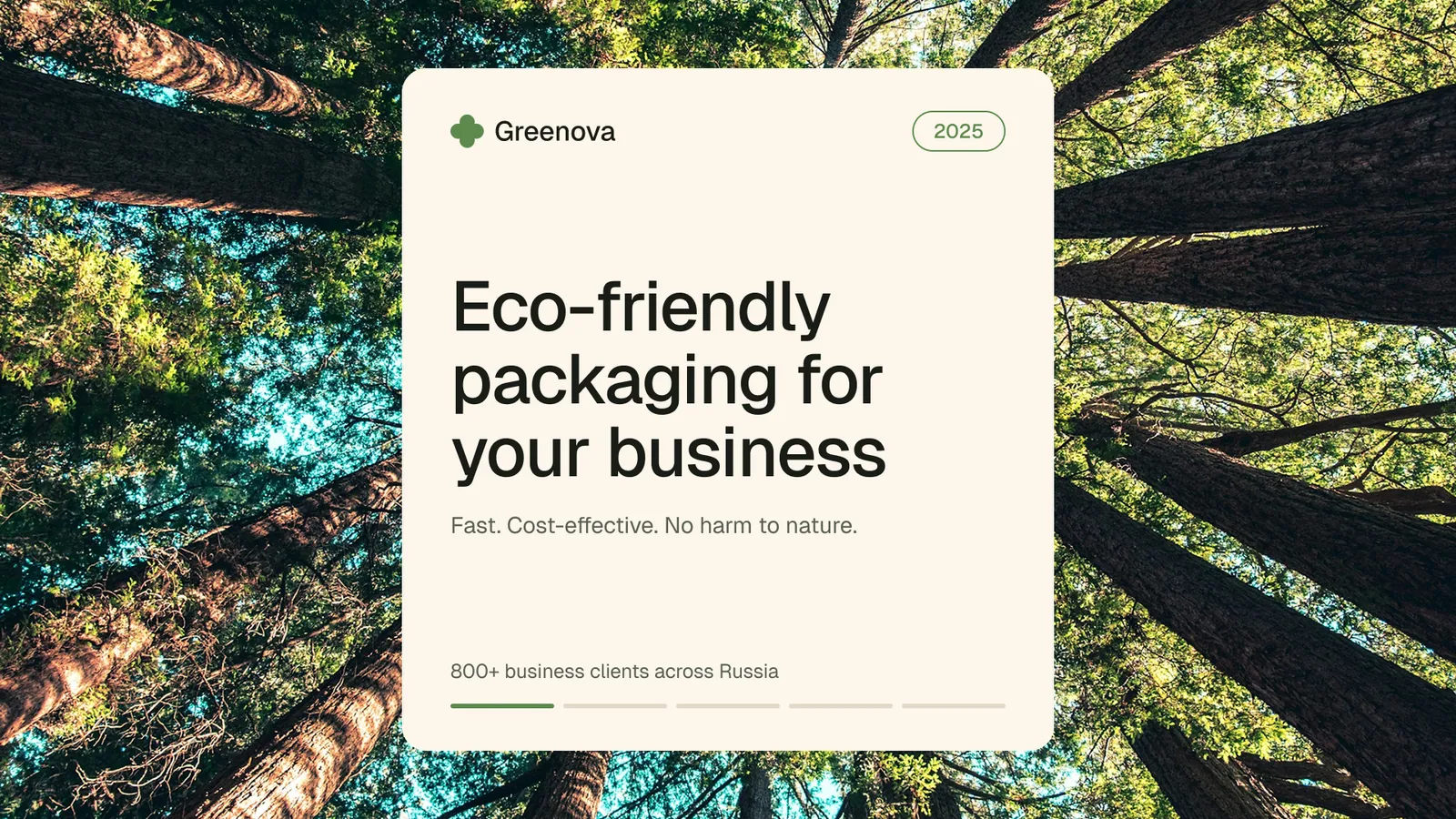 Ecopack — презентация — 1