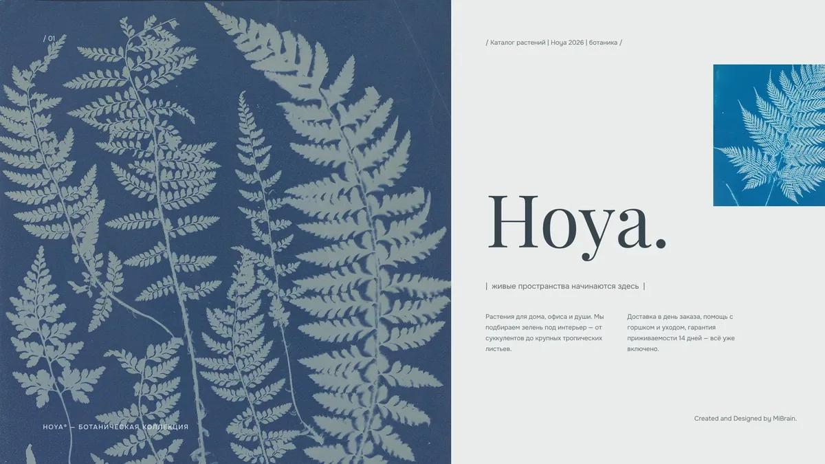 Hoya — ботаническая серия